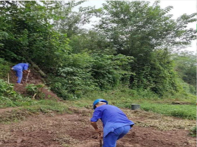 1605076516190987.jpg 2.jpg