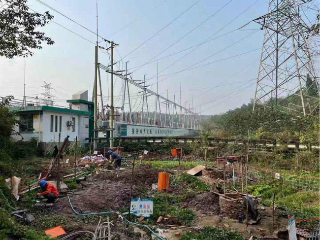 1605076538278874.jpg 3.jpg