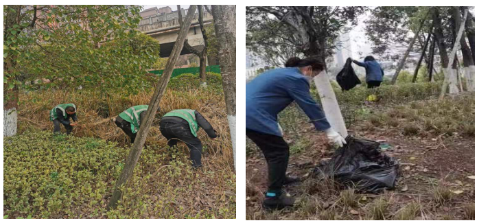 1678152418342151.png image.png