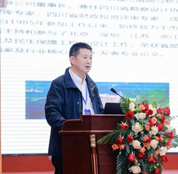 1732782560619617.png image.png