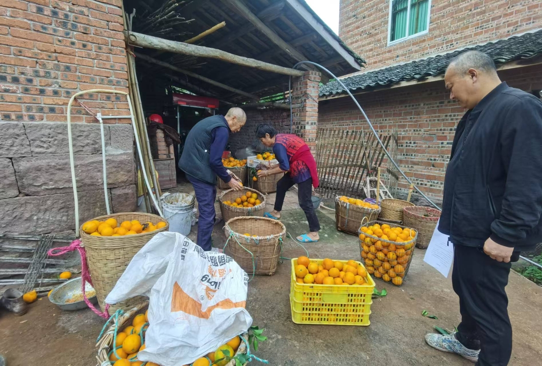 1735608364305996.png 1735608364305996.png