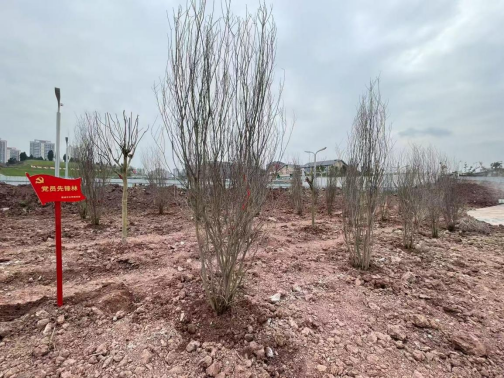 1742460904744210.png image.png