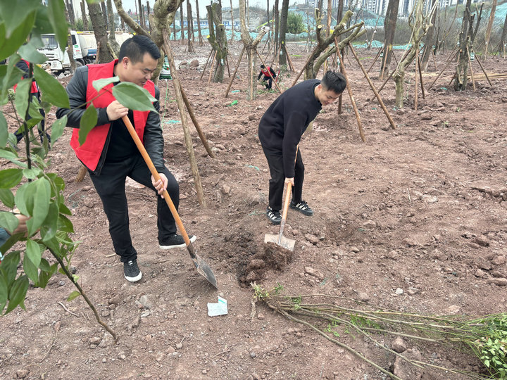 1743644003677046.jpg 2.jpg